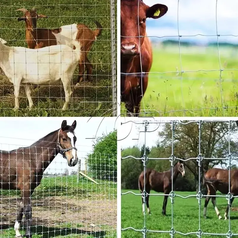 Farm Livestock Wire Mesh Fence